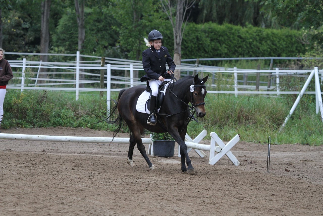 Bild 1040 - WBO-Turnier am 18.9.11